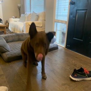 Meet your Posher, Issac